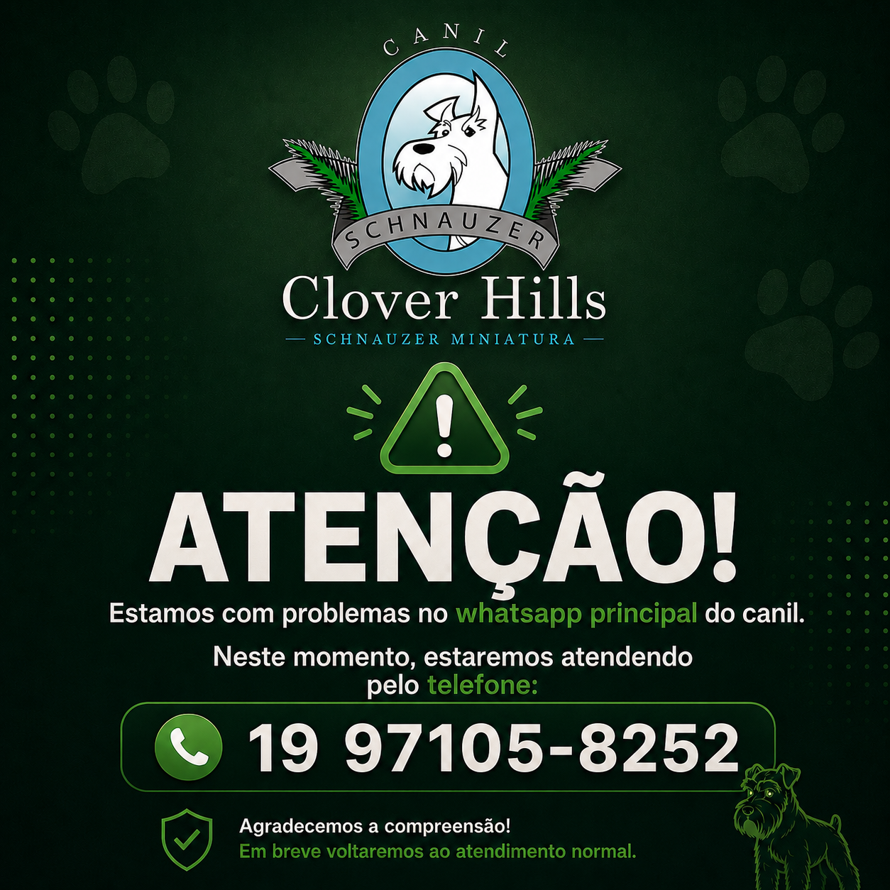 Aviso WhatsApp